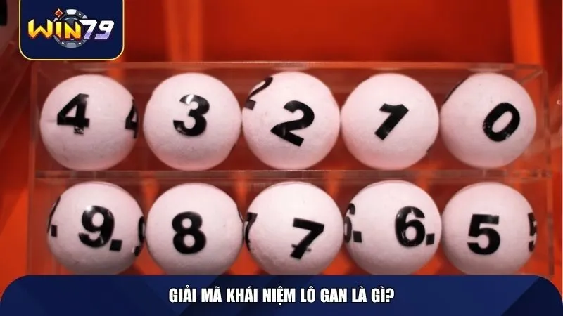 Giải mã khái niệm lô gan là gì?