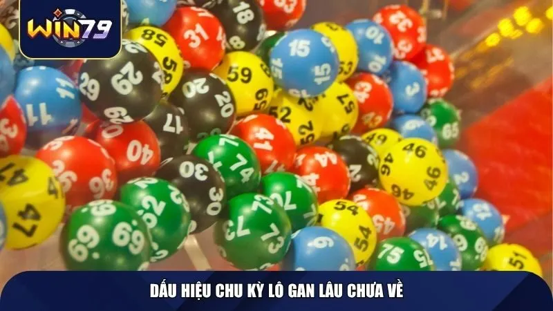 Dấu hiệu chu kỳ lô gan lâu chưa về